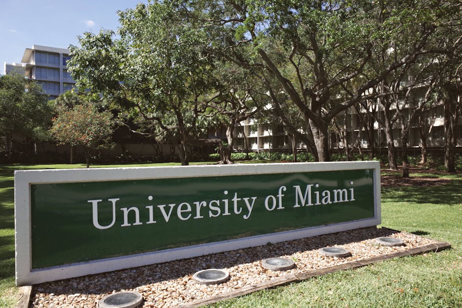 Outdoor view of the University of Miami entrance with lush greenery during the day.